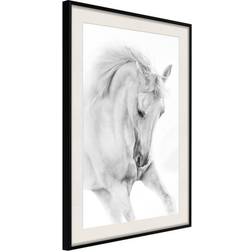 Arkiio Affisch White Horse [Poster] 20x30 Poster